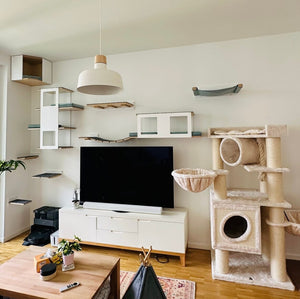 Big Cat Wall Shelf Bed Tunnel - Wally BigCat Tunnel Upside Down - Scratchy Things Premium Pet Furniture