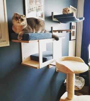 Cat Wall Shelf Bed - Wally Tunnel Mini - Scratchy Things Premium Pet Furniture