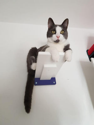 Car Wall Step Shelf - Wally 1-Step - Scratchy Things Premium Pet Furniture