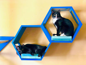 Cat Wall Shelf Hexagonal Bed Bundle - Wally Hex 25 2-pack - Scratchy Things Premium Pet Furniture