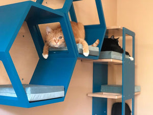 Cat Wall Shelf Hexagonal Bed Bundle - Wally Hex 25 2-pack - Scratchy Things Premium Pet Furniture