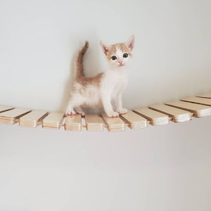 Cat Wall Bridge Shelf Step - Wally Bridge - Scratchy Things Premium Pet Furniture