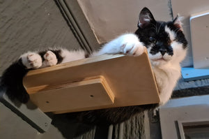 Car Wall Step Shelf - Wally 1-Step - Scratchy Things Premium Pet Furniture