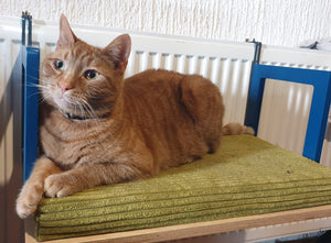 Cat Radiator Bed Hammock - Toasty BigCat Flat - Scratchy Things Premium Pet Furniture