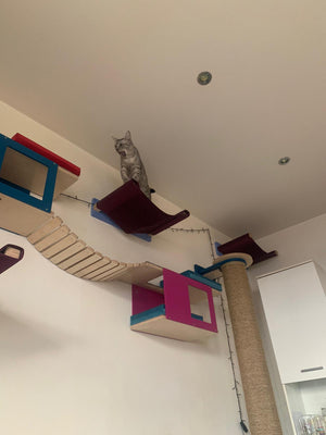 Cat Wall Bridge Shelf Step - Wally Bridge - Scratchy Things Premium Pet Furniture