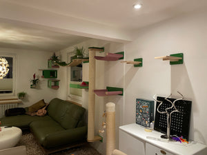 Cat Wall Scratching Pole Post Shelf - Mounty Post - Scratchy Things Premium Pet Furniture