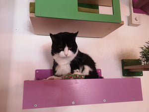 Big Cat Wall Shelf Bed - Wally BigCat Flat Plus - Scratchy Things Premium Pet Furniture