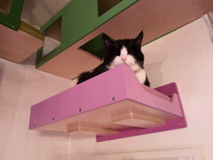 Big Cat Wall Shelf Bed - Wally BigCat Flat Plus - Scratchy Things Premium Pet Furniture