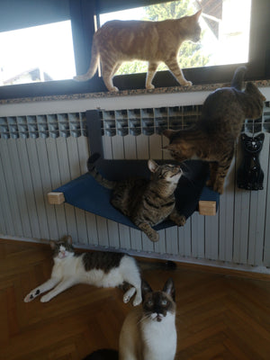 Cat Radiator Bed Hammock - Toasty BigCat Cot - Scratchy Things Premium Pet Furniture