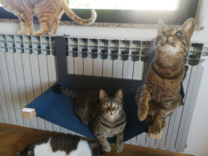 Cat Radiator Bed Hammock - Toasty BigCat Cot - Scratchy Things Premium Pet Furniture