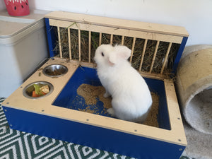 Rabbit Hay Feeder Litter box - Nibbler Combo Spectra 3in1 - Scratchy Things Premium Pet Furniture