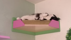 Big Cat Wall Shelf Bed - Wally BigCat Corner Plus - Scratchy Things Premium Pet Furniture