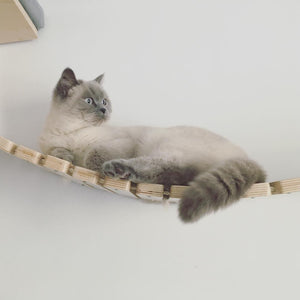 Cat Wall Bridge Shelf Step - Wally Bridge - Scratchy Things Premium Pet Furniture