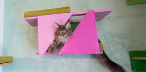 Big Cat Wall Shelf Bed Box - BigCat Sharp Tunnel Mini - Scratchy Things Premium Pet Furniture