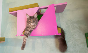 Big Cat Wall Shelf Bed Box - BigCat Sharp Tunnel Mini - Scratchy Things Premium Pet Furniture