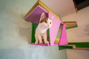 Big Cat Wall Shelf Bed Box - BigCat Sharp Tunnel Mini - Scratchy Things Premium Pet Furniture