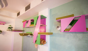 Big Cat Wall Shelf Bed Box - BigCat Sharp Stacker - Scratchy Things Premium Pet Furniture