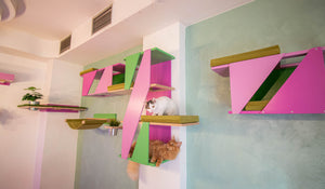 Big Cat Wall Shelf Bed Box - BigCat Sharp Stacker - Scratchy Things Premium Pet Furniture