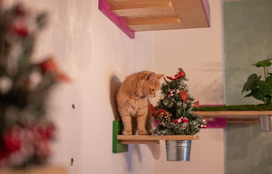 Cat Wall Shelf Step Plant - Wally Flora - Scratchy Things Premium Pet Furniture