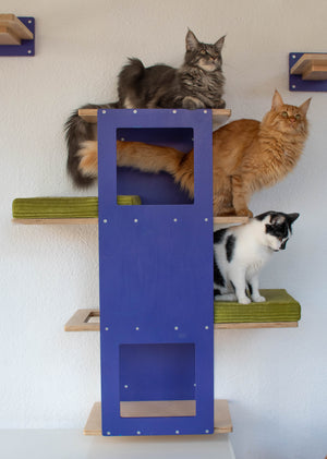 Big Cat Wall Shelf Bed - Wally BigCat Stacker - Scratchy Things Premium Pet Furniture