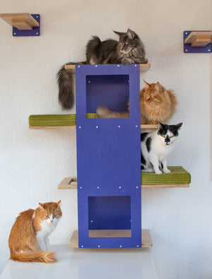 Big Cat Wall Shelf Bed - Wally BigCat Stacker - Scratchy Things Premium Pet Furniture