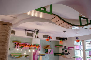 Cat Ceiling Shelf - Wally Top - Scratchy Things Premium Pet Furniture