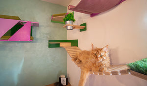 Cat Wall Bridge Shelf Step - Wally Bridge - Scratchy Things Premium Pet Furniture