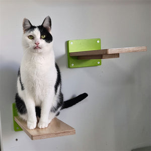 Car Wall Step Shelf - Wally 1-Step - Scratchy Things Premium Pet Furniture
