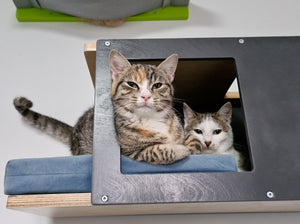 Cat Wall Shelf Bed - Wally Tunnel Upside-Down - Scratchy Things Premium Pet Furniture