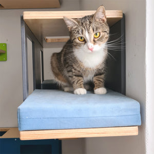 Cat Wall Shelf Bed - Wally Tunnel Upside-Down - Scratchy Things Premium Pet Furniture