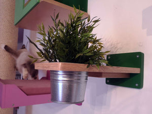 Cat Wall Shelf Step Plant - Wally Flora - Scratchy Things Premium Pet Furniture