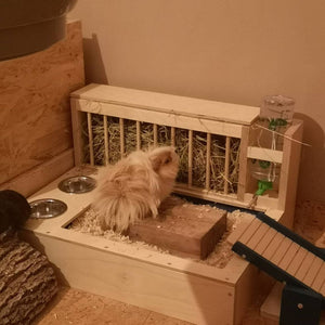 Rabbit Hay Feeder Water Litter box - Nibbler Combo 4in1 - Scratchy Things Premium Pet Furniture