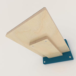 Big Cat Step Giant - Wally Giant 1-Step - Scratchy Things Premium Pet Furniture