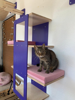 Big Cat Wall Shelf Bed - Wally BigCat Stacker - Scratchy Things Premium Pet Furniture