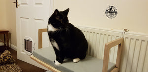 Cat Radiator Bed Hammock - Toasty BigCat Flat - Scratchy Things Premium Pet Furniture