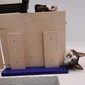 Cat Wall Bridge Shelf Step - Wally Bridge (1-Step - Flat mount) - Scratchy Things Premium Pet Furniture