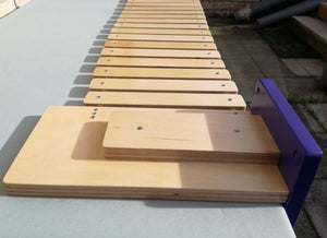 Cat Wall Bridge Shelf Step - Wally Bridge (1Step - 1Step mount) - Scratchy Things Premium Pet Furniture