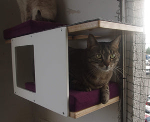 Cat Wall Shelf Bed - Wally Tunnel Mini - Scratchy Things Premium Pet Furniture