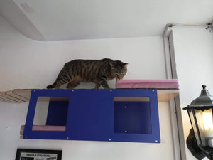 Cat Wall Shelf Bed - Wally Tunnel - Scratchy Things Premium Pet Furniture