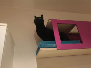 Cat Wall Shelf Bed - Wally Tunnel Upside-Down - Scratchy Things Premium Pet Furniture