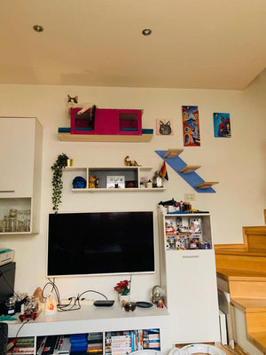 Cat Wall Shelf Bed - Wally Tunnel Upside-Down - Scratchy Things Premium Pet Furniture