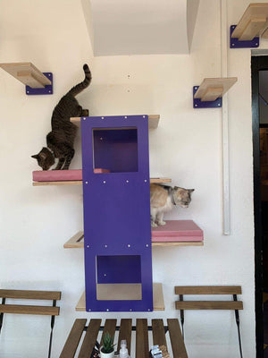 Cat Wall Shelf Bridge Bed Bundle - Purple Bundle - Scratchy Things Premium Pet Furniture