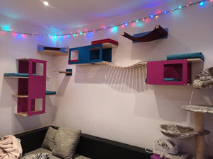 Cat Wall Shelf Bridge Bed Bundle - Splash of Color Bundle - Scratchy Things Premium Pet Furniture