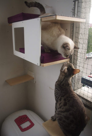 Cat Wall Shelf Step Bed Bundle - Wally Mini Bundle - Scratchy Things Premium Pet Furniture