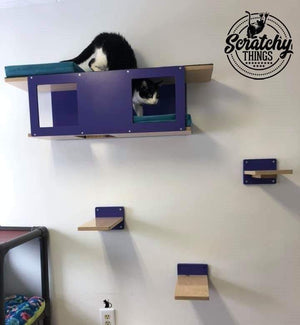 Cat Wall Shelf Step Bed Bundle - Wally Tunnel Bundle - Scratchy Things Premium Pet Furniture