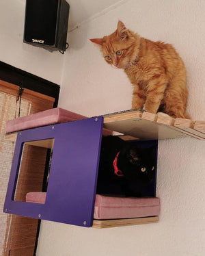 Cat Wall Shelf Step Bridge Bed Bundle - Wally Play Bundle Mini - Scratchy Things Premium Pet Furniture