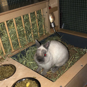 Rabbit Hay Feeder Water Litter box - Nibbler Combo 4in1 - Scratchy Things Premium Pet Furniture