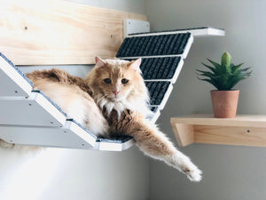 Cat Bridge Shelf Step Wide - Wally WideBridge (1Step - 1Step mount) - Scratchy Things Premium Pet Furniture