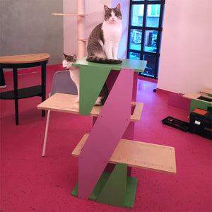 Big Cat Wall Shelf Bed Box - BigCat Sharp Stacker - Scratchy Things Premium Pet Furniture