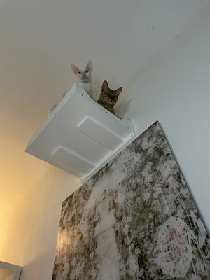 Big Cat Wall Shelf Bed - Wally BigCat Flat Plus - Scratchy Things Premium Pet Furniture